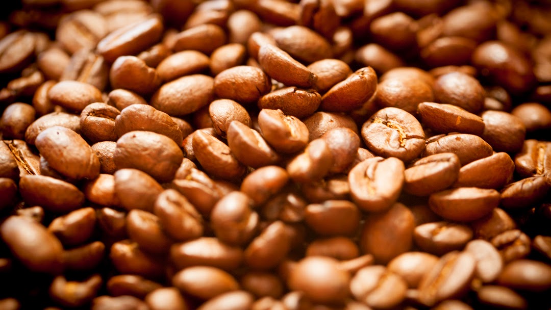 Groundwork Coffee Co. Photos 2